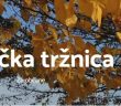 kmečka tržnica kmečka tržnica